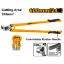 Picture of HCCB0124