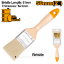 Picture of CHPTB0102