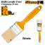 Picture of CHPTB68702