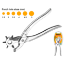 Picture of HLHP01
