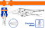 Picture of WLP3C09