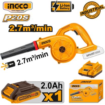 Picture of CABLI200281