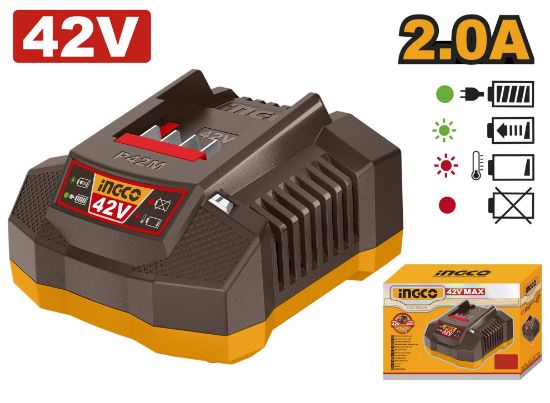 Picture of FCLI42021