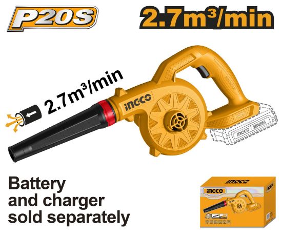 Picture of CABLI2078