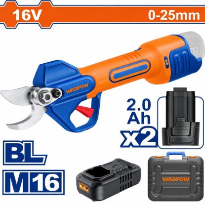 Picture of WJFP25082