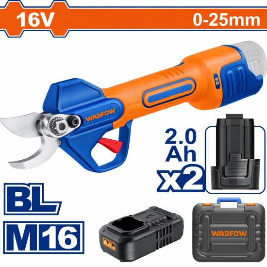 Picture of WJFP25082