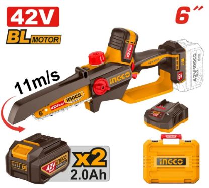 Picture of CGSLI42681